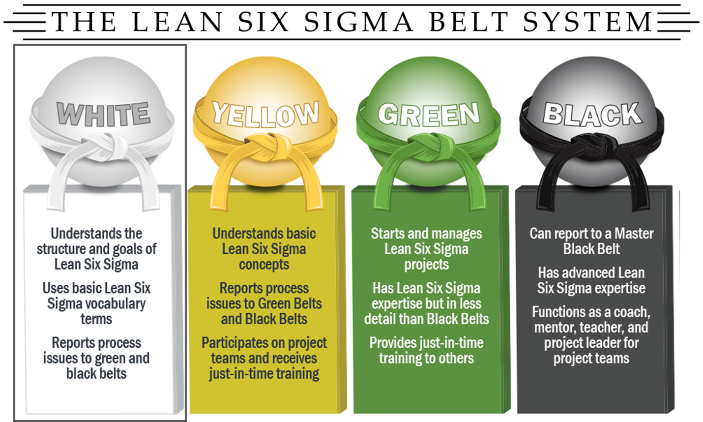 What is a Six Sigma White Belt?