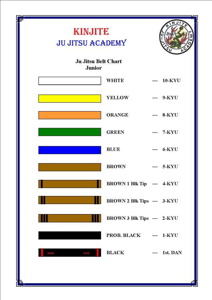 Progression Unveiled: Tiger Schulmann Belt Ranks