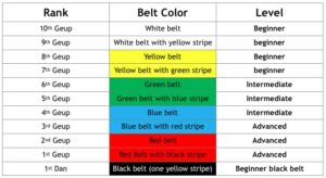 The Journey of Taekwondo Belts: Colors and Meanings