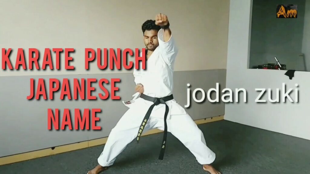 Exploring Karate: Punches and Their Names with Pictures