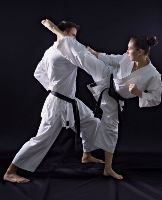 Karate Kicks: Learn Self-Defense & Fitness