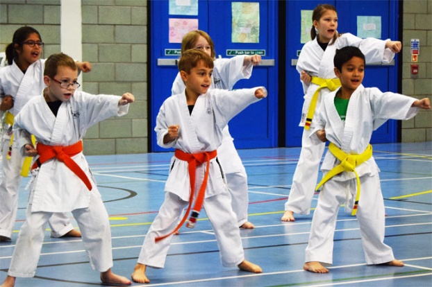 Martial Arts Fun For Local Kids