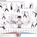 JKD: Bruce Lee’s Raw Martial Arts Power